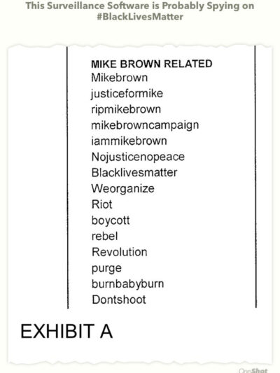 MikeBrown-MediaSonar.jpg