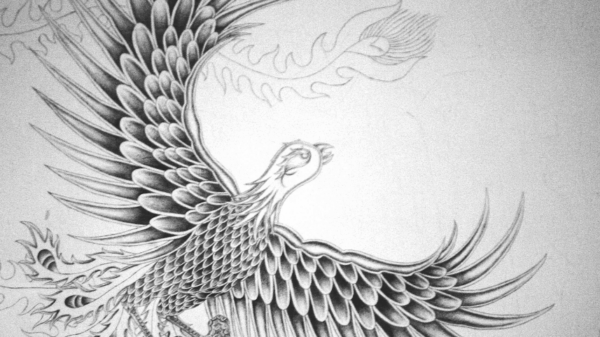 Annual Report 2004 - 2005