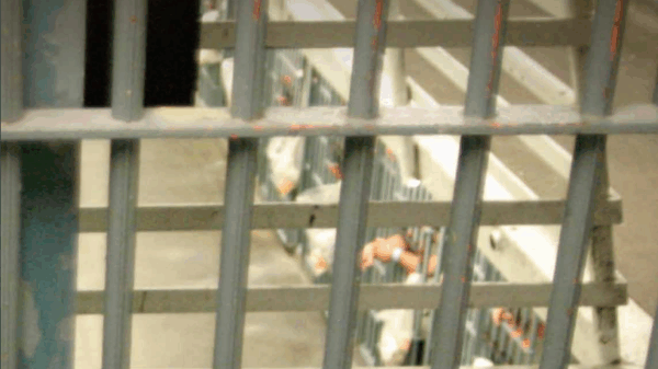 Cruel and Usual Punishment: How A Savage Gang Of Deputies Controls LA County Jails