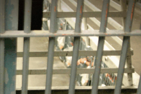 Cruel and Usual Punishment: How A Savage Gang Of Deputies Controls LA County Jails