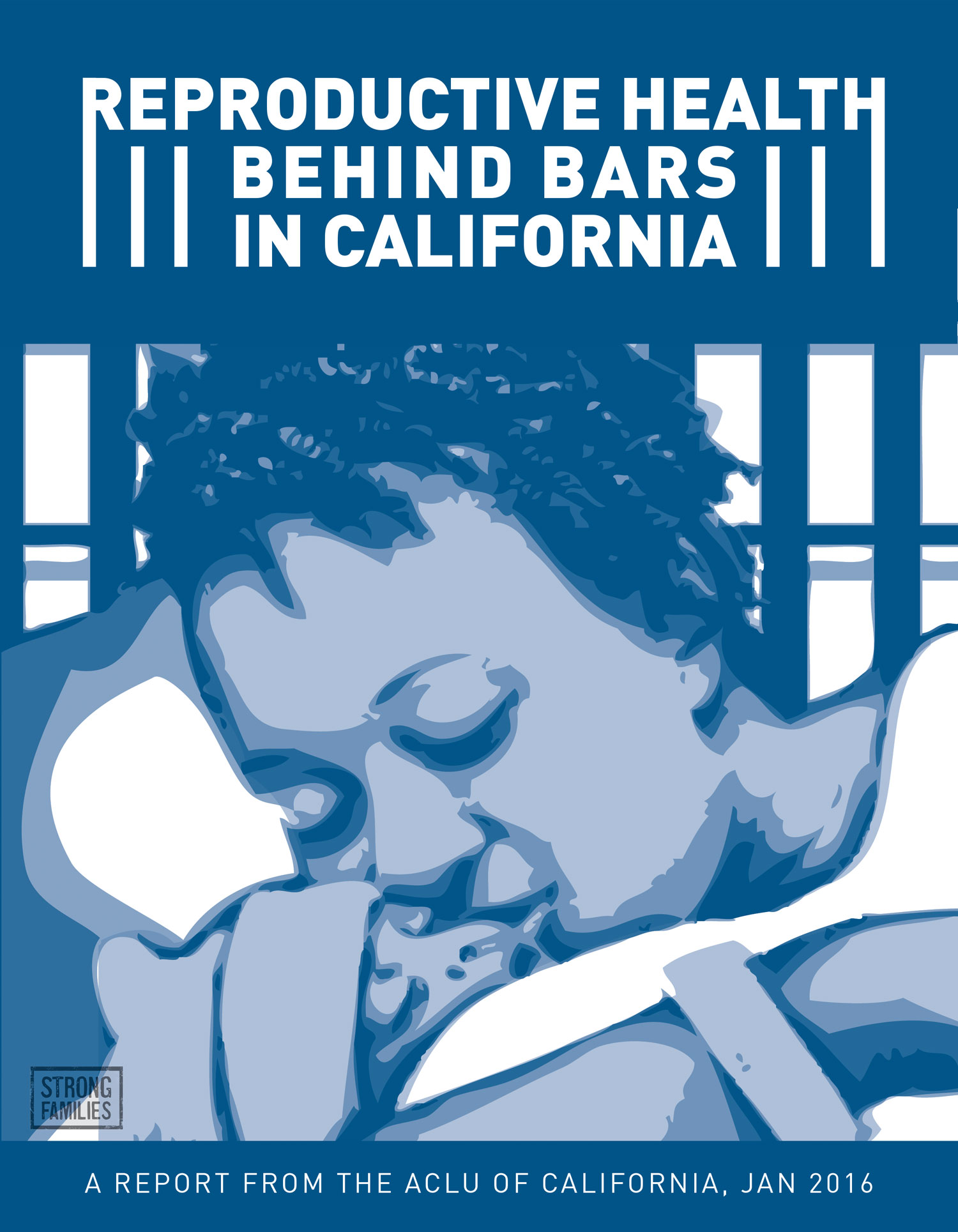 Fight Reproductive Injustice Behind Bars Federal What’s Next: The Road Ahead for Reproductive Justice in Prisons