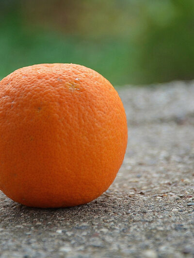 An orange on the ground
