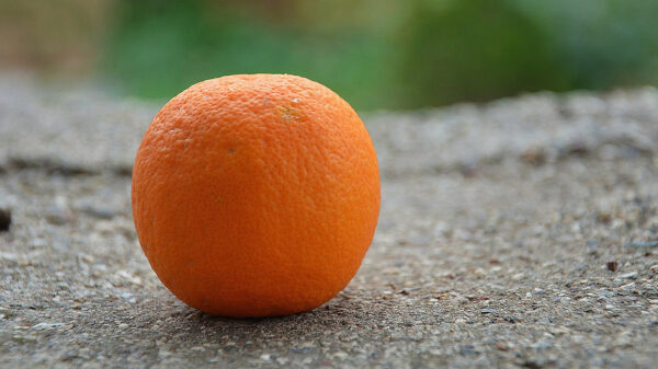 An orange on the ground
