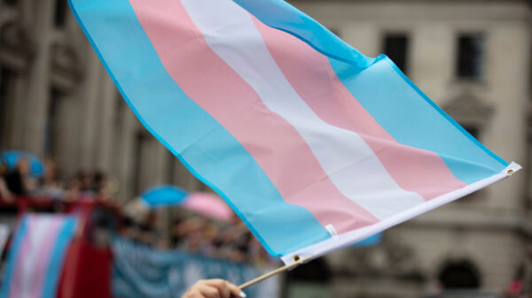 trans flag