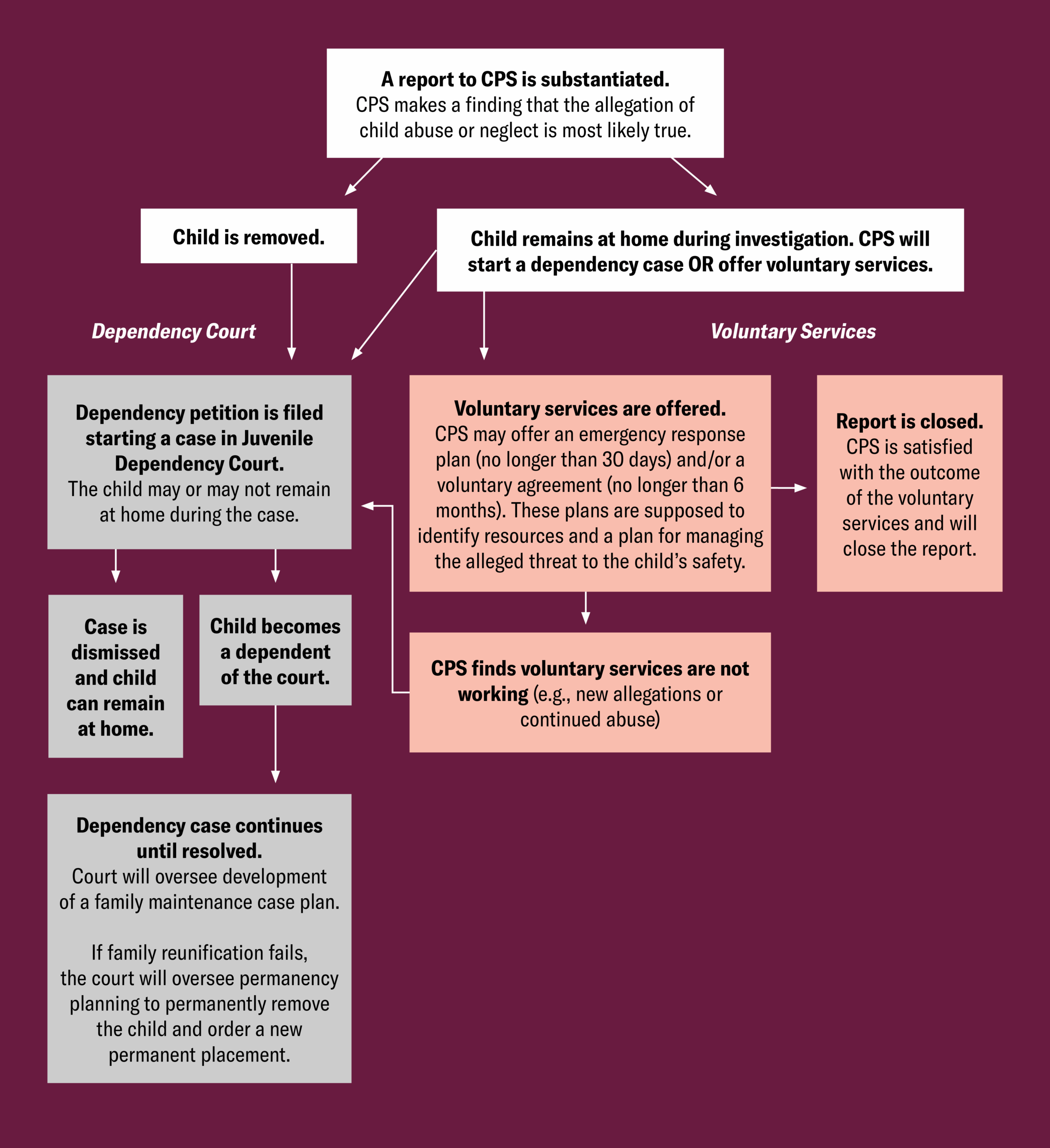 CPS investigation chart