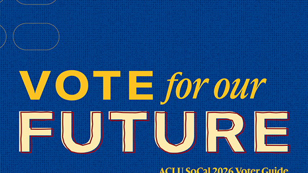 2026 Voter Guide