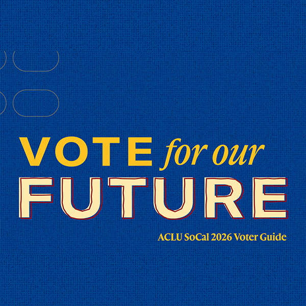 2026 Voter Guide