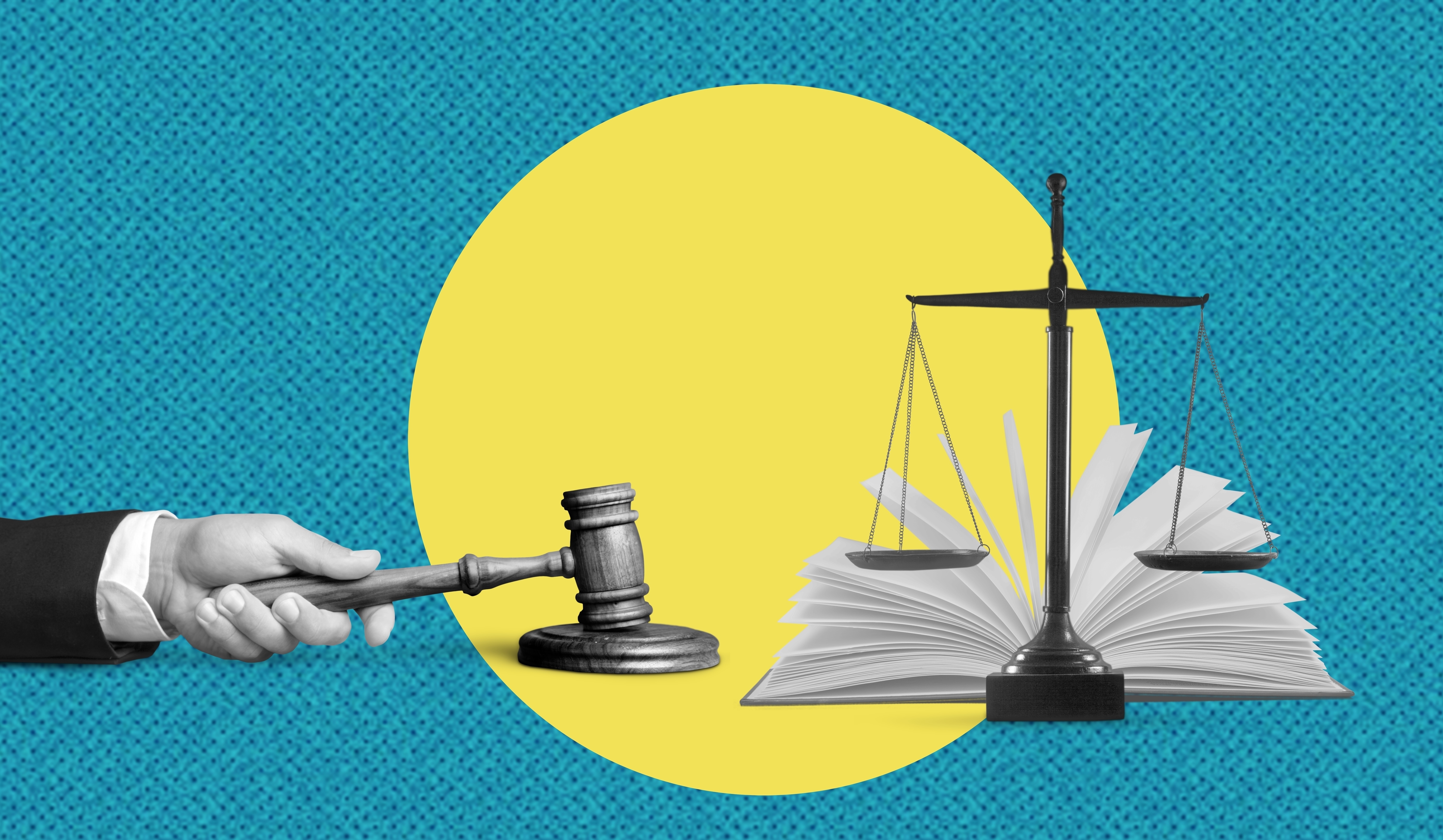 We Celebrate Our Pro Bono Partners