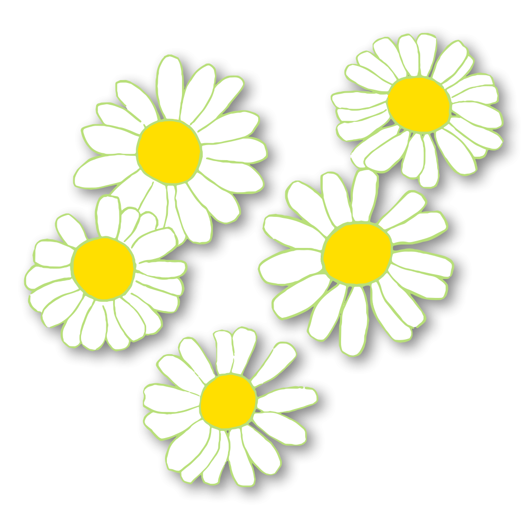 Chamomile flowers