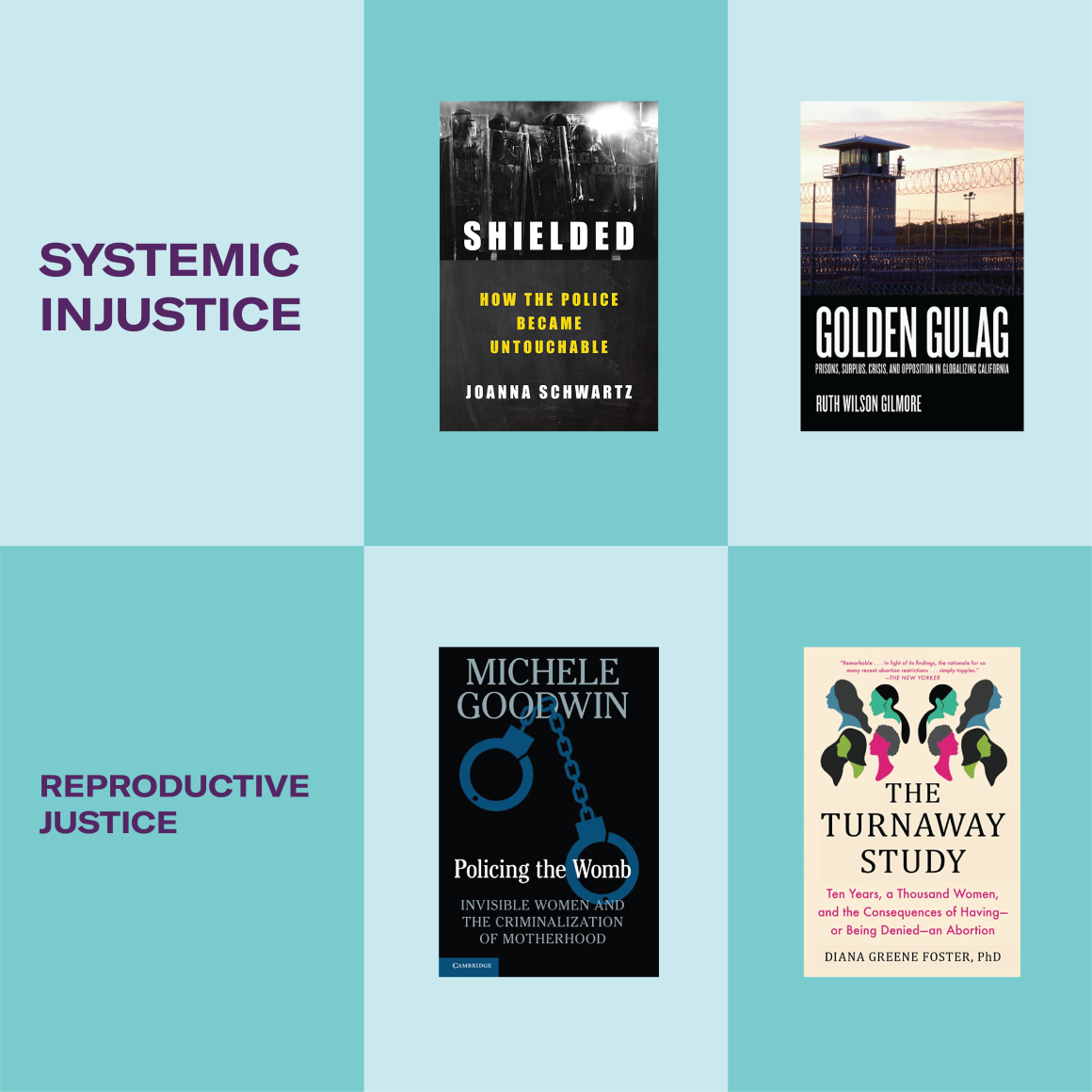 Systemic Injustice and Reproductive Justice 