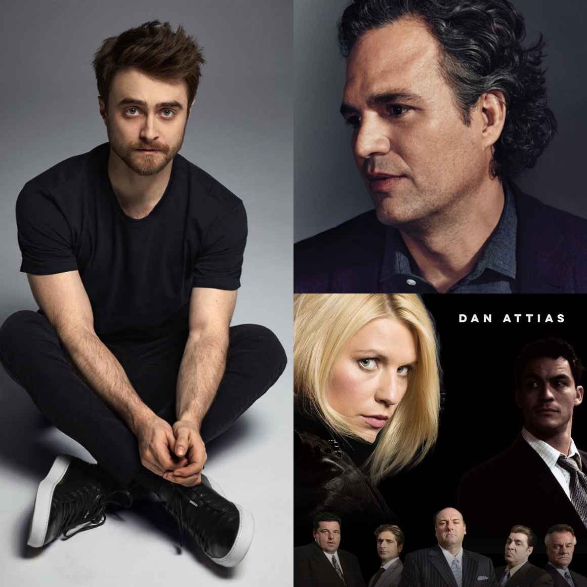 ACLU auction Daniel Racliffe, Harry Potter, Daniel Attias, Mark Ruffalo