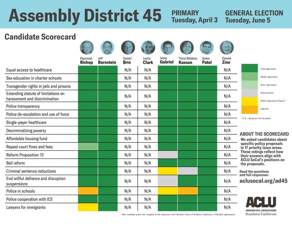 Assembly district 45 candidate scorecard