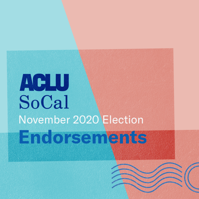 Endorsements November 2020 Election