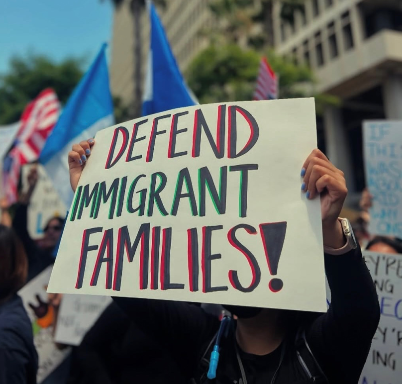 Defending Immigrant Families 