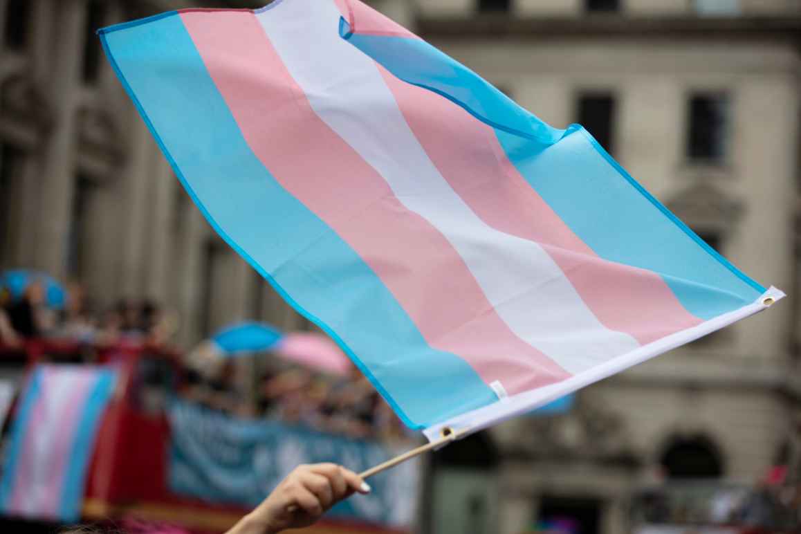 trans flag