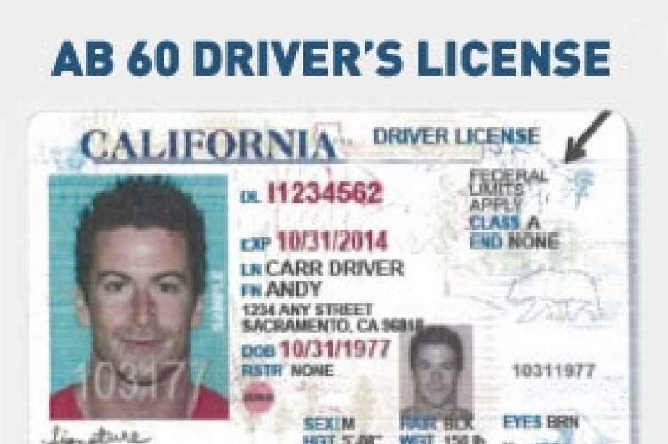 Driver License – U.S. Citizens