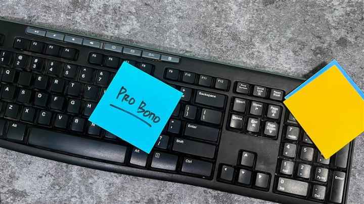 pro bono