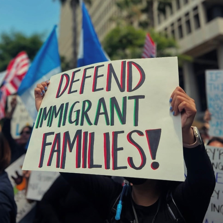 Defending Immigrant Families 