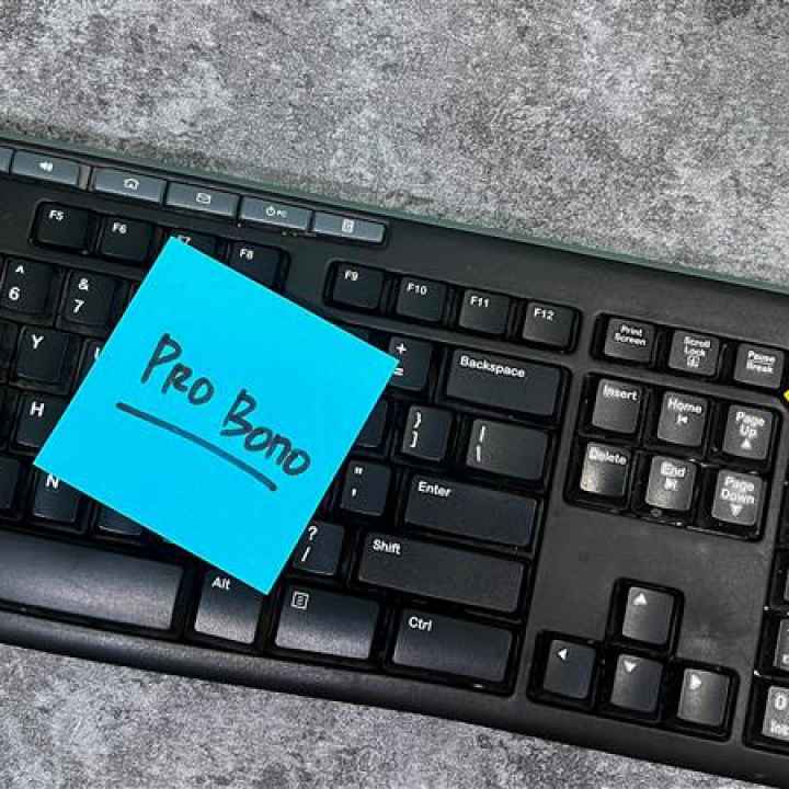 pro bono