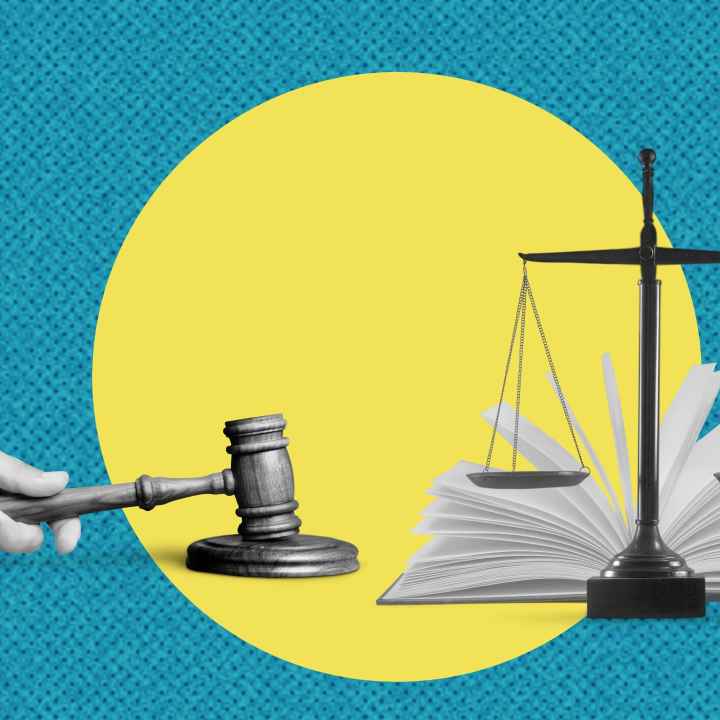 We Celebrate Our Pro Bono Partners